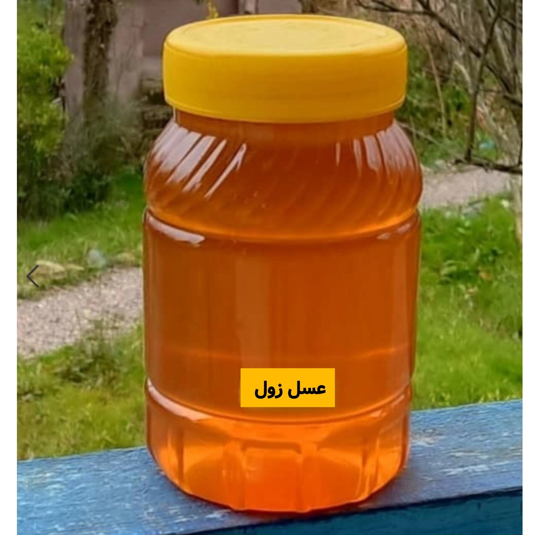 عسل زول