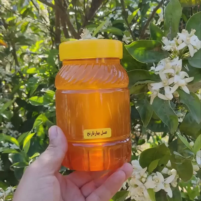 عسل بهار نارنج