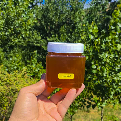 عسل گشنیز